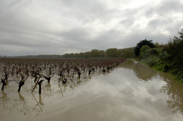Inondations dans l'Aude, hameau de Moussolens, près de Moussan, novembre 2005, Languedoc-Roussillon © Laurent Mignaux - Terra