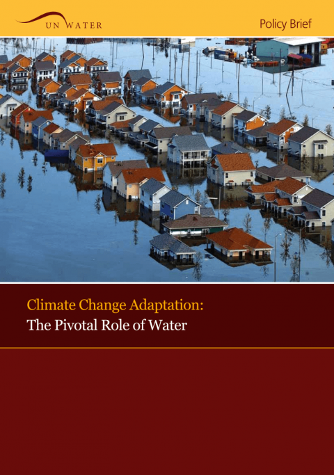 Climate Change Adaptation: The Pivotal Role of Water | UN-Water