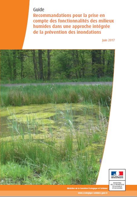 Guide "Recommandations pour la prise en compte des fonctionnalités des milieux humides dans une approche intégrée de la prévention des inondations"