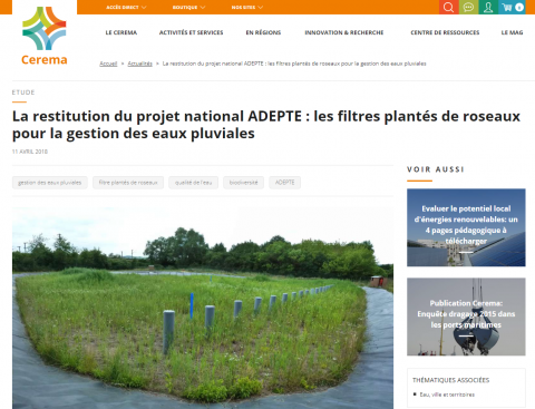 La restitution du projet national ADEPTE : les filtres plantés de roseaux pour la gestion des eaux pluviales